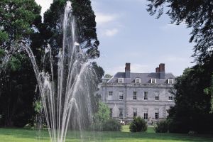 Cashel Palace Photographs 027